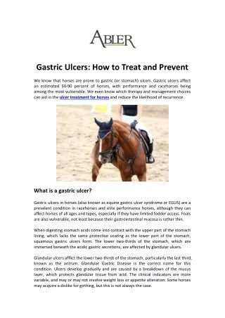 Horse Gastric Ulcers - How to Treat and Prevent