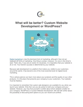What will be better? Custom Website Development or WordPress?