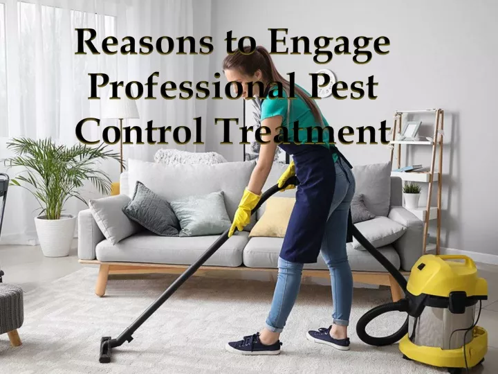 reasons to engage professional pest control