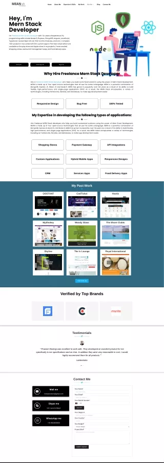 freelance mern stack developer