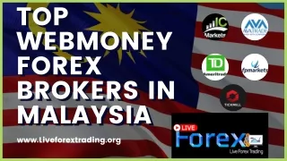 Top WebMoney Forex Brokers In Malaysia - Live Forex Trading