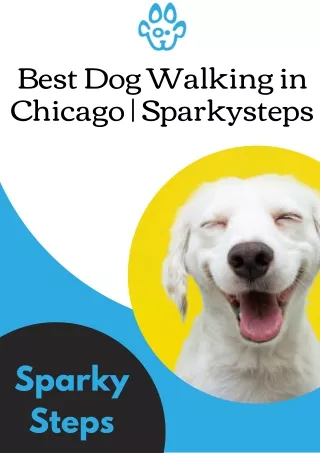 Best Dog Walking in Chicago | Sparkysteps