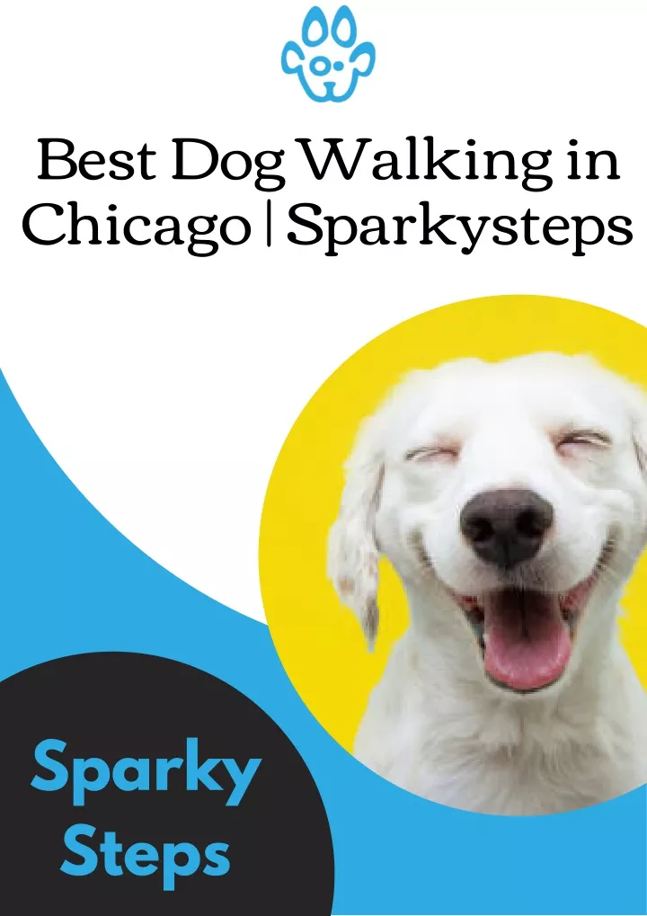 best dog walking in chicago sparkysteps