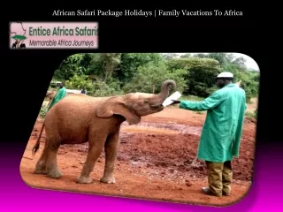 African Safari Package Holidays  Family Vacations To Africa