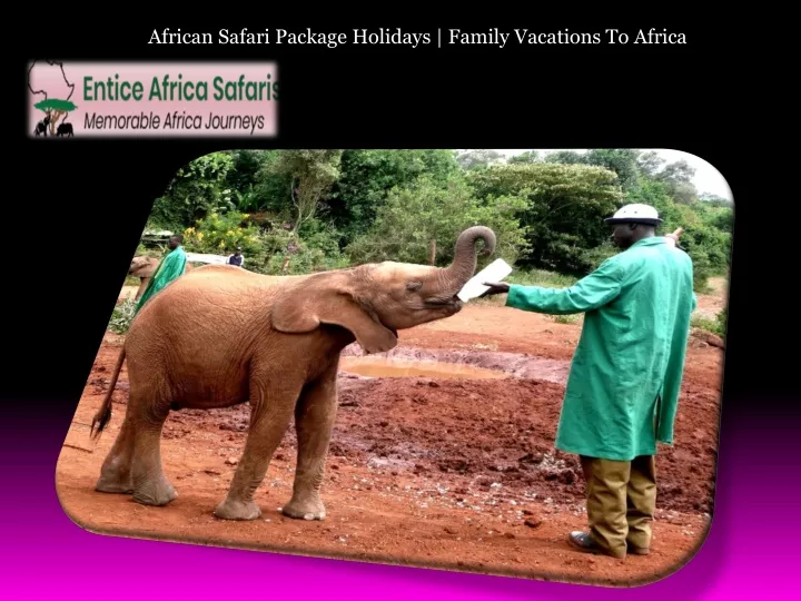african safari package holidays family vacations