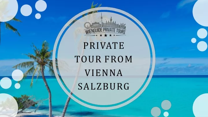 private tour from vienna salzburg