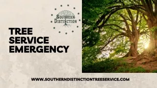 Emergency Tree Services - Southern Distinctive Tree Service