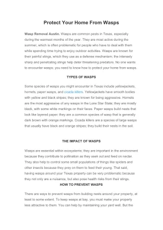 protect your home from wasps