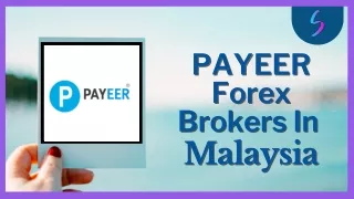 Payeer Forex Brokers In Malaysia - Servlogin.com