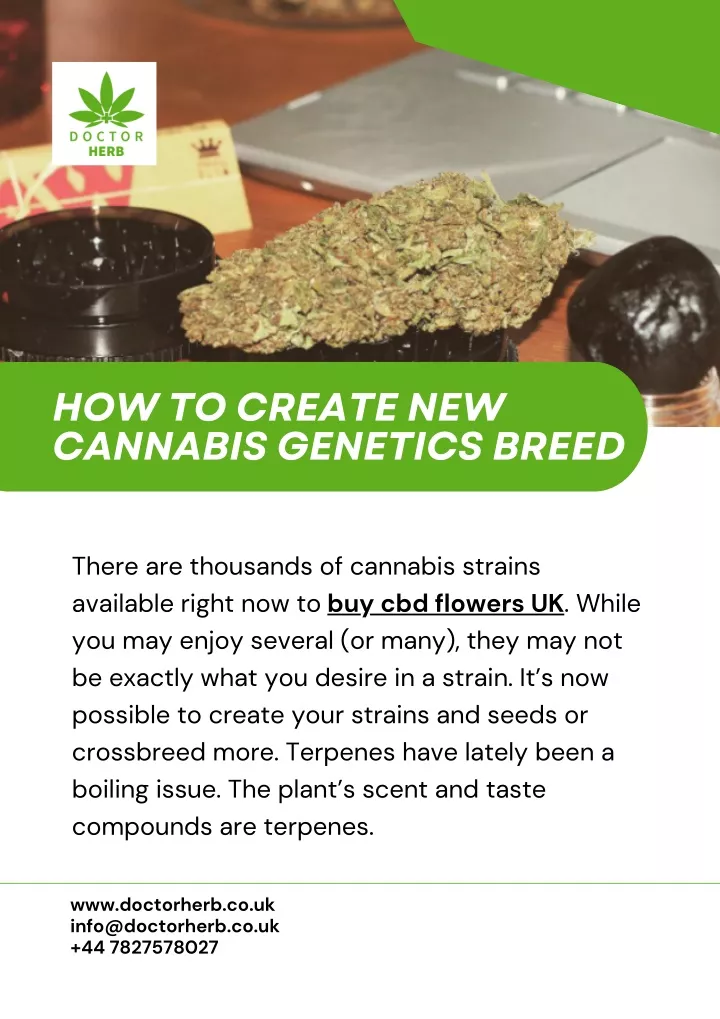 how to create new cannabis genetics breed