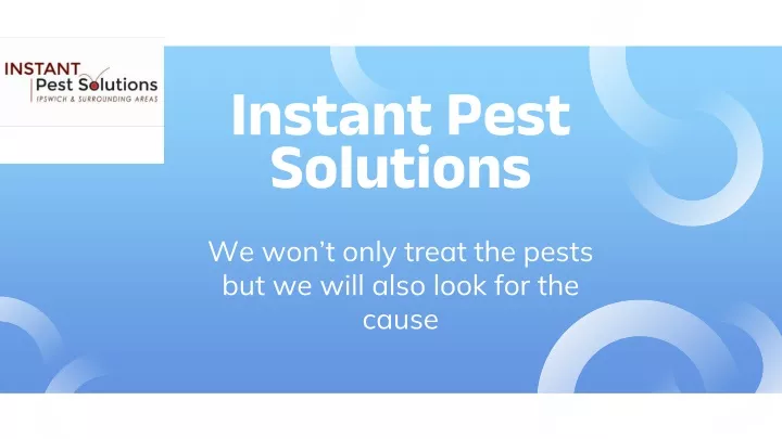 instant pest solutions