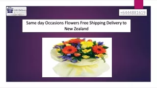 Same day Occasions Flowers Free Shipping Delivery to New Zealand