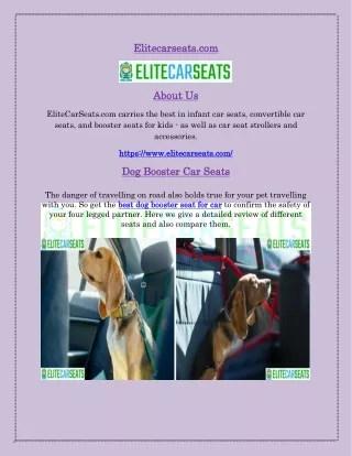 Best Dog Booster Seat for Car