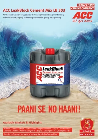 ACC LeakBlock Cement Mix LB-303