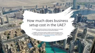 how much does business setup cost in the uae