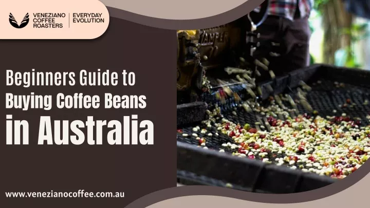 beginners guide to buying coffee beans