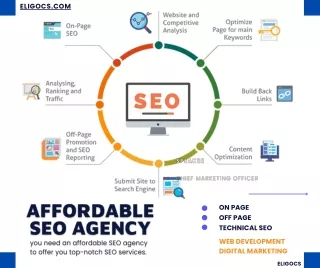 How Can I Get Affordable SEO Agency Services - Eligocs