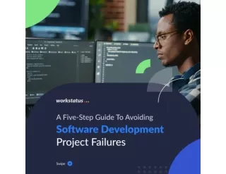 Guide to avoiding software development project failures