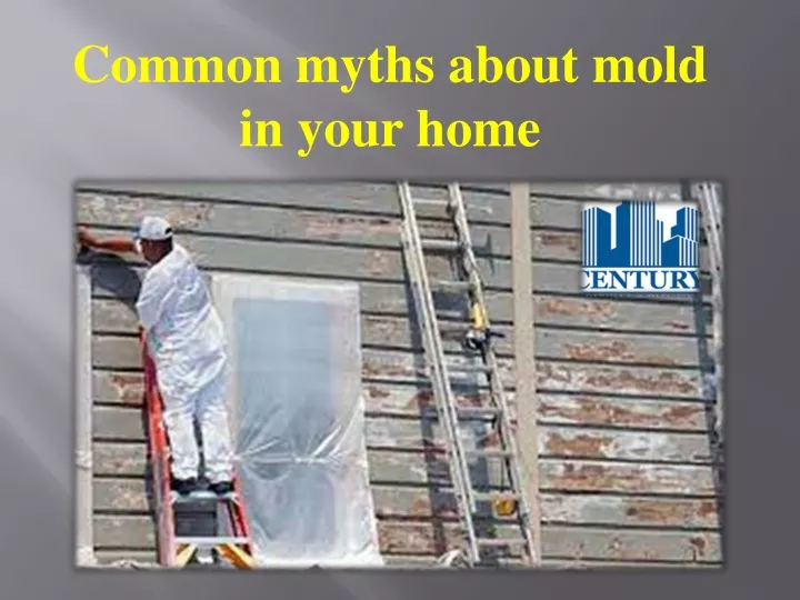 common myths about mold in your home