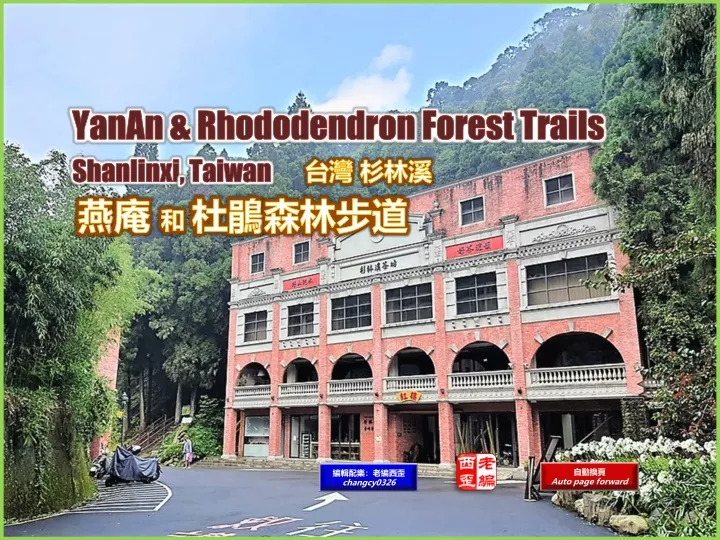 yanan rhododendron forest trails shanlinxi taiwan