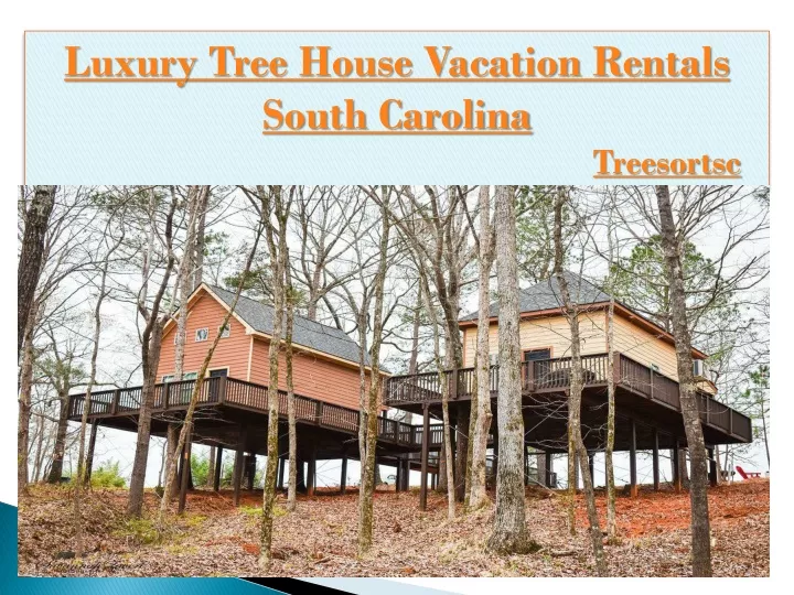 luxury tree house vacation rentals south carolina