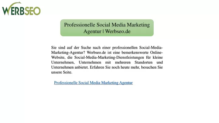 professionelle social media marketing agentur