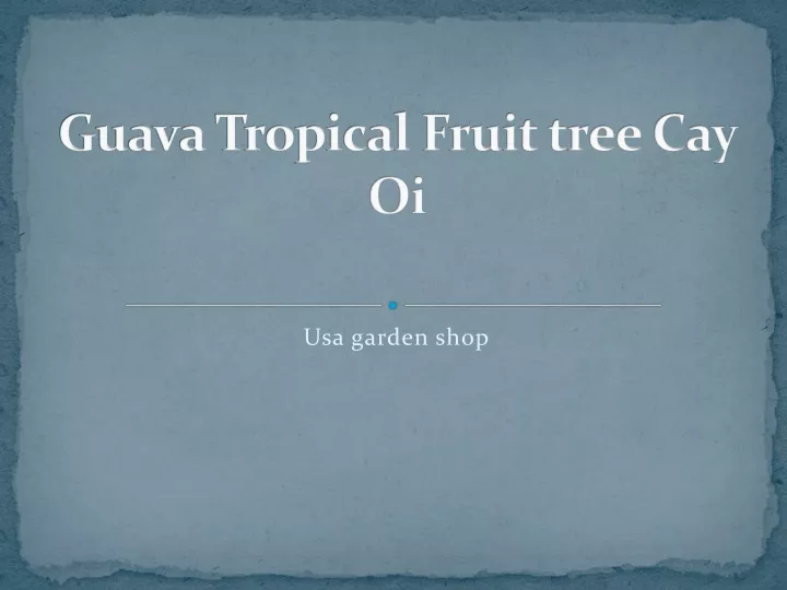 guava tropical fruit tree cay oi
