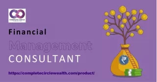 financial management consultant_PPT