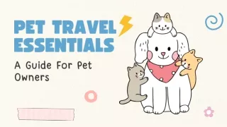 Pet Travel Essentials A Guide For Pet Owners
