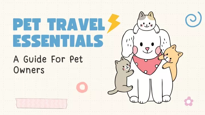 pet travel essentials