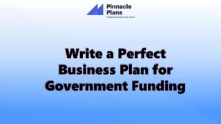 Write a Perfect Business Plan for Government Funding