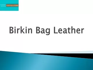 Birkin Bag Leather