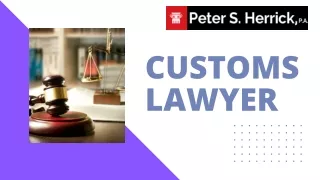 Customs Attorney Services - How to Choose The Right One For You