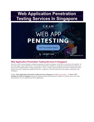 web application penetration testing services