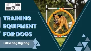 Purchase Training Equipment for Dogs from Little Dog Big Dog