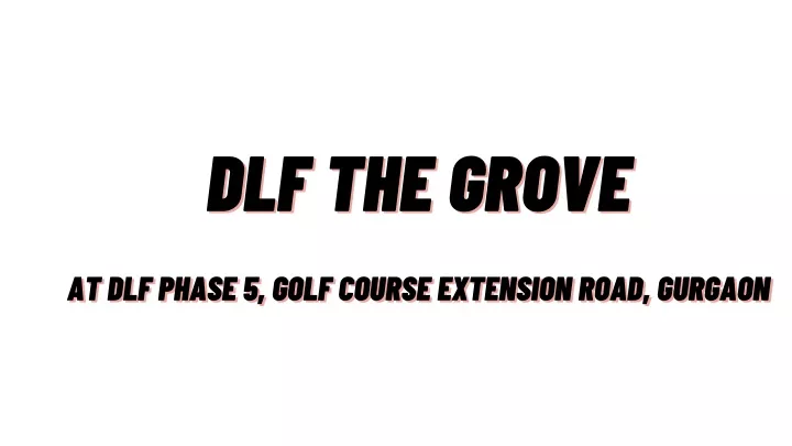 dlf the grove dlf the grove at dlf phase 5 golf