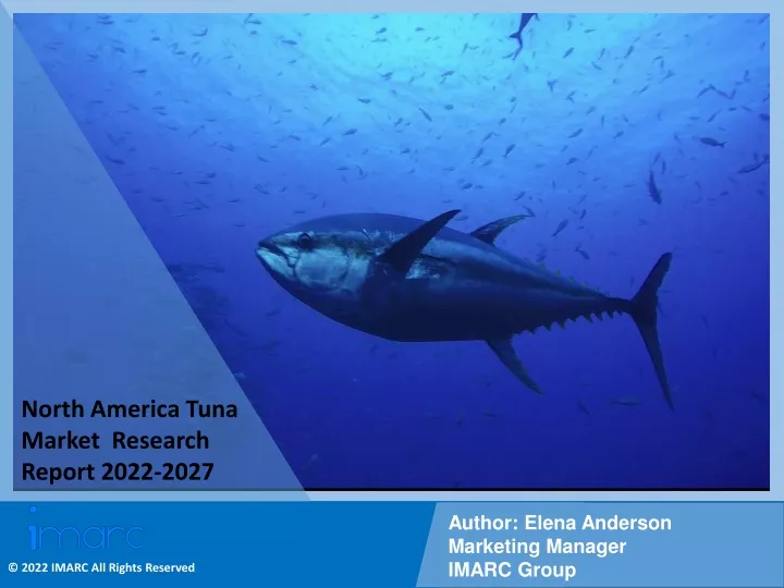 north america tuna market research report 2022