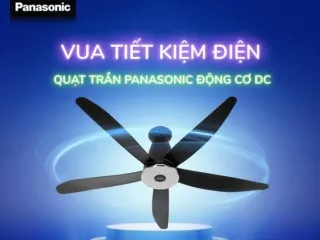 Quạt trần Panasonic Tiết Kiệm Điện - Chính Hãng