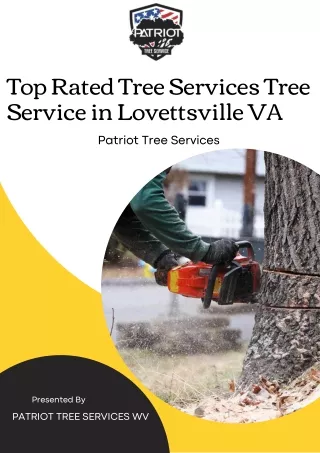 Top Rated Tree Services Tree  Service in Lovettsville VA