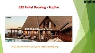 b2b hotel booking tripfro