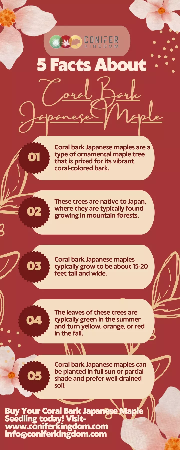 5 facts about coral bark japanese maple