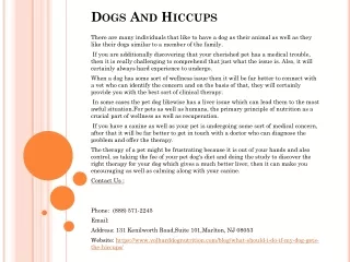 dogs and hiccups