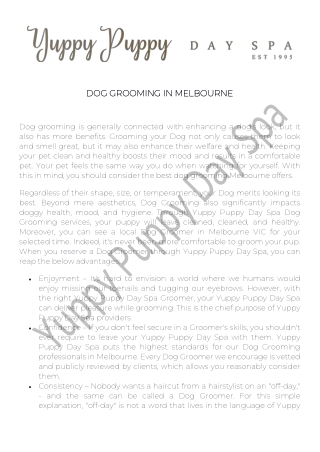 Melbourne Dog Grooming | Dog Grooming in Melbourne