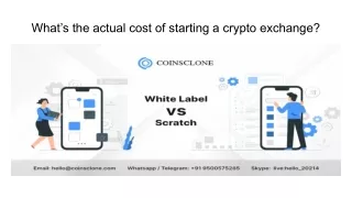 what s the actual cost of starting a crypto