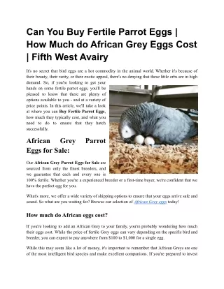 Can You Buy Fertile Parrot Eggs _ How Much do African Grey Eggs Cost _ Fifth West Avairy