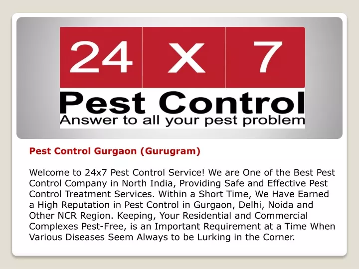 pest control gurgaon gurugram welcome to 24x7