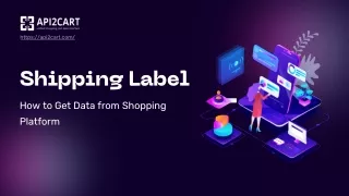 Shipping Label: How to Get Data from Shopping Platform