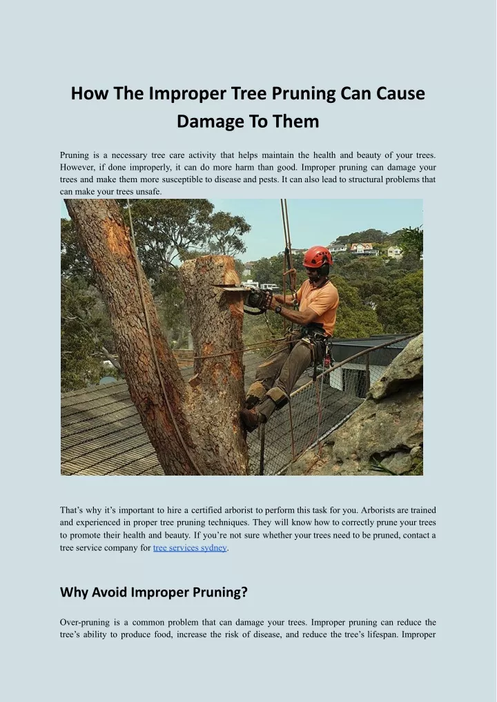 how the improper tree pruning can cause damage