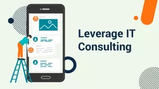 leverage it consulting