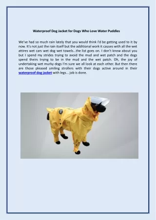 Waterproof Dog Jacket for Dogs Who Love Water Puddles